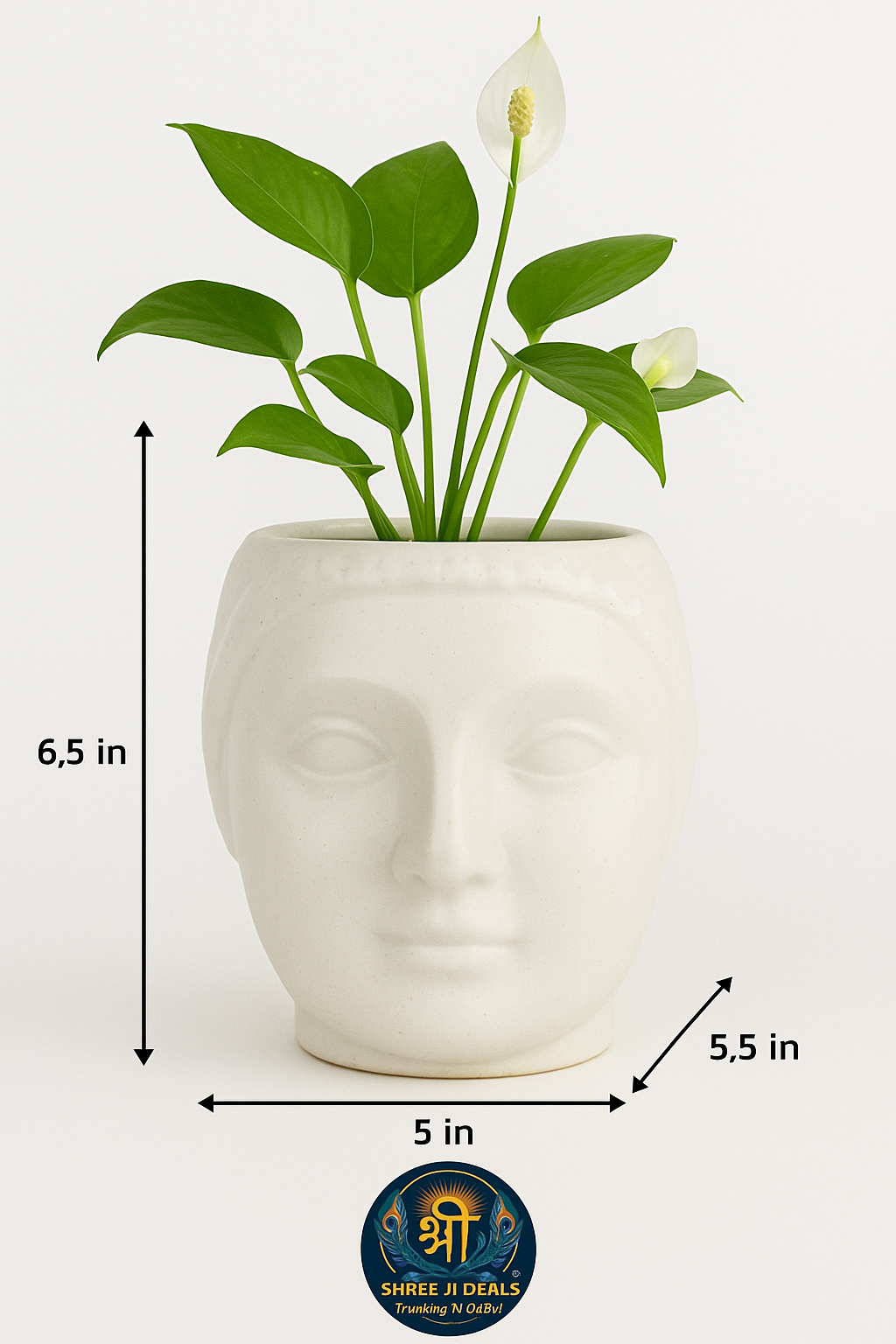 Buddha Flower Pot/ Trendy Flower Pot/ Indoor / Out door
