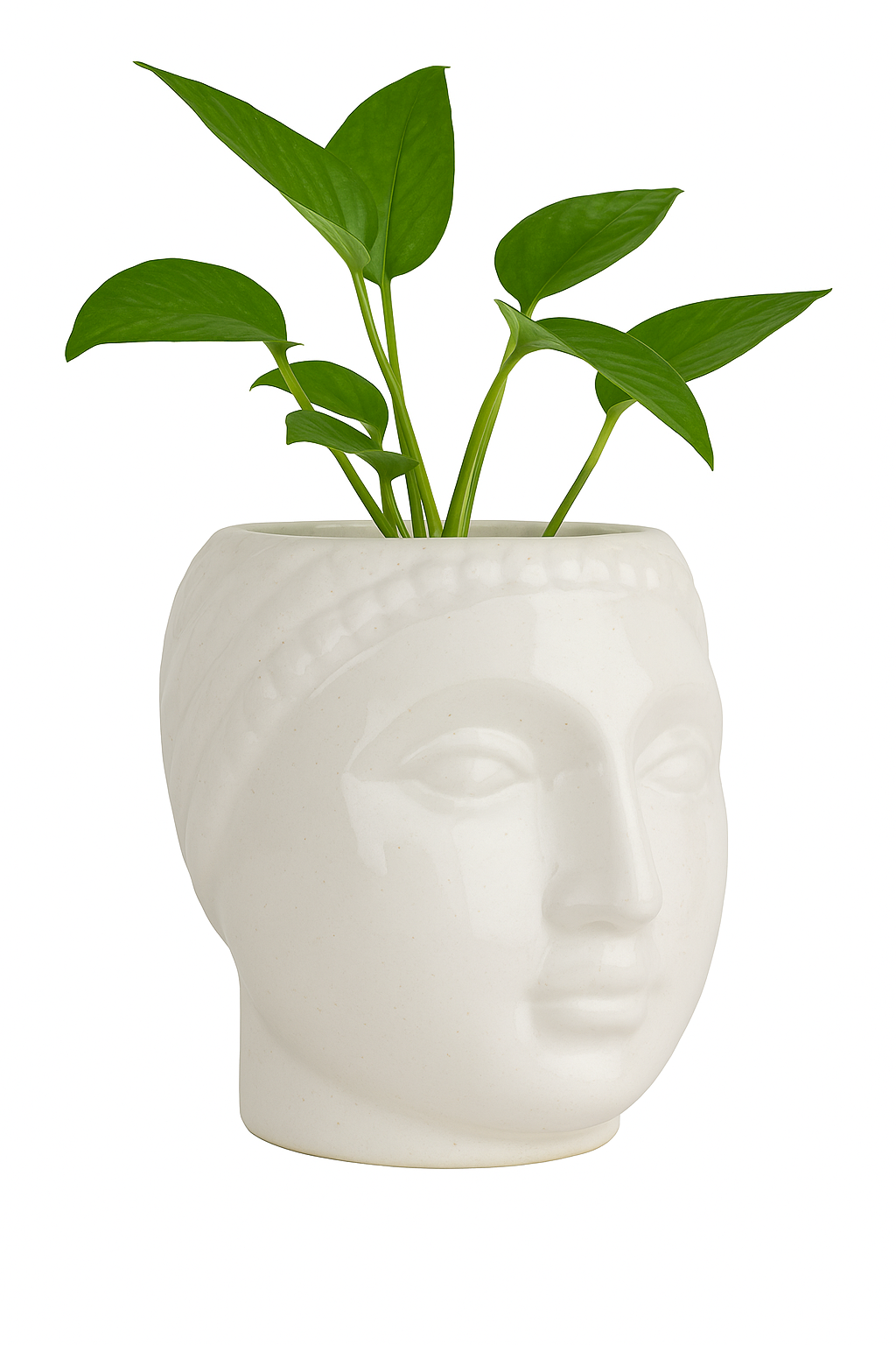 Buddha Flower Pot/ Trendy Flower Pot/ Indoor / Out door