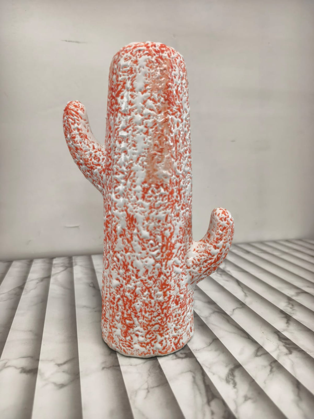 Cactus Flower Pot/ Indoor/ Outdoor