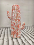 Cactus Flower Pot/ Indoor/ Outdoor